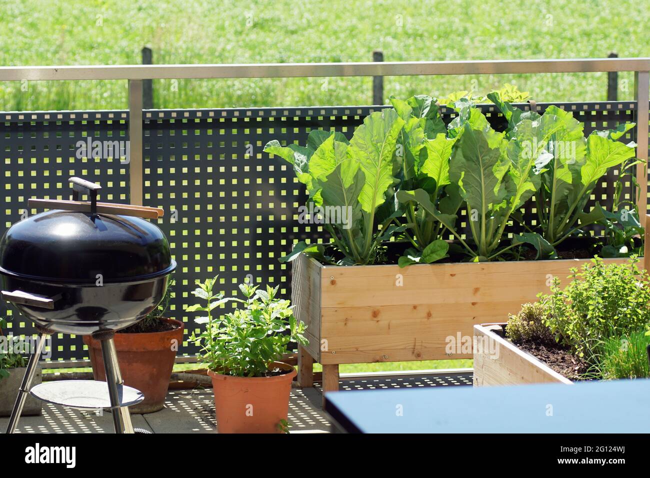Im Sommer gibt es einen urbanen Terrassengarten mit Gemüse und Grillspezialitäten Stockfoto