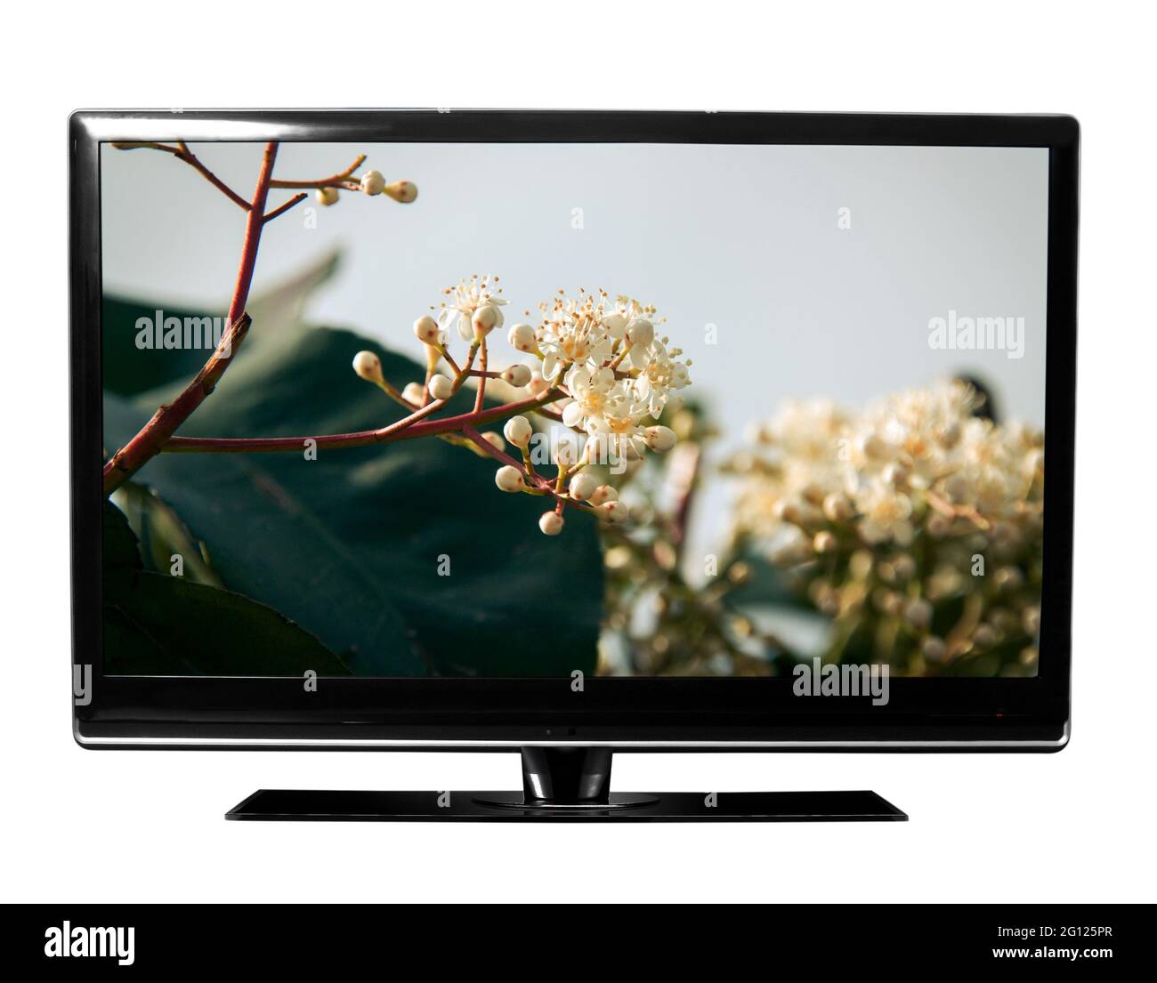 Nahaufnahme des TV-Monitors mit dem Bild Stockfoto