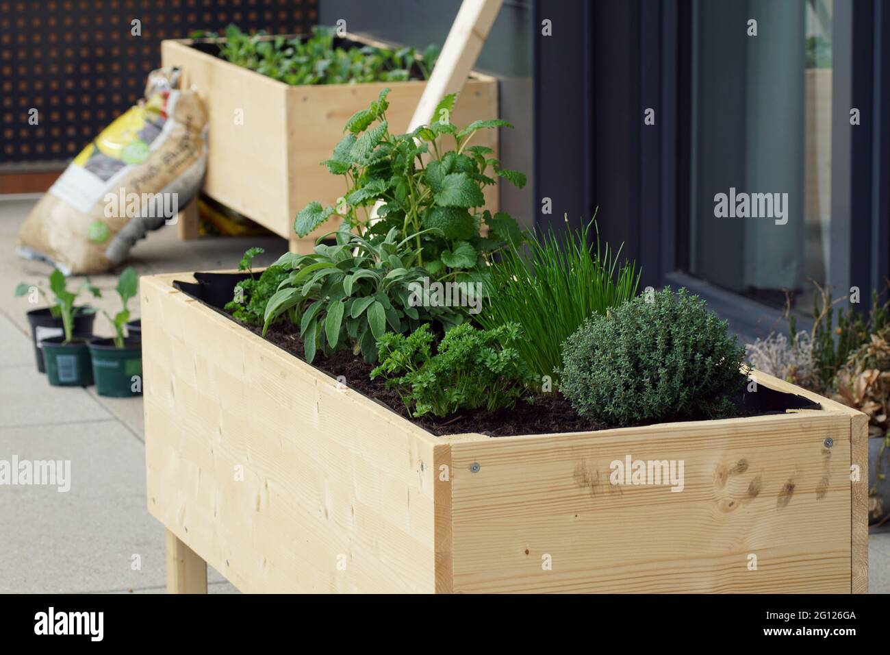 Selbstgemachtes Hochbett mit verschiedenen Kräutern auf einem Balkon Stockfoto