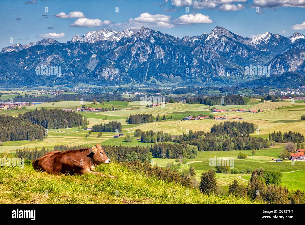 DE - BAYERN/SCHWABEN: Blick auf die Ammergauer Alpen bei Füssen Stockfoto