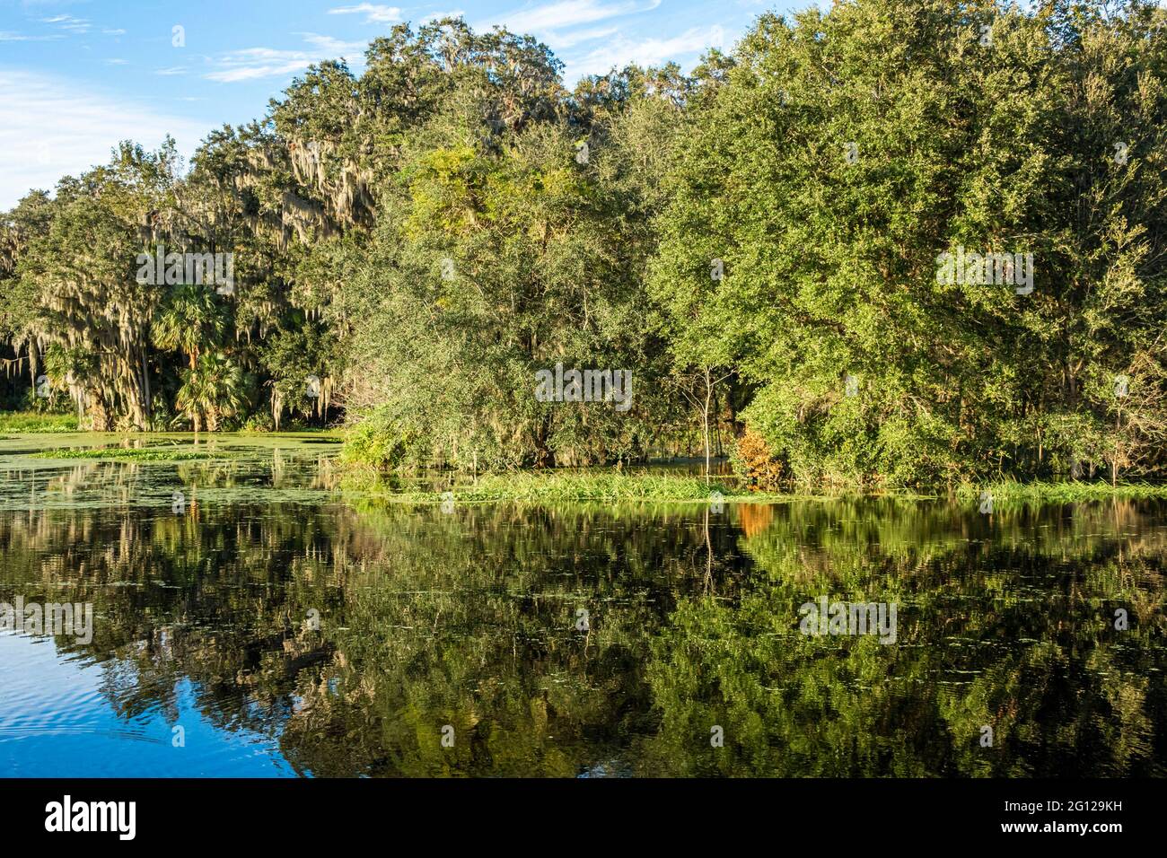 Florida Gainesville Micanopy Paynes Prairie Nature Preserve State Park Umweltschutz LaChua Trail Trailhead Alachua Sink Sink Hole Prairi Stockfoto