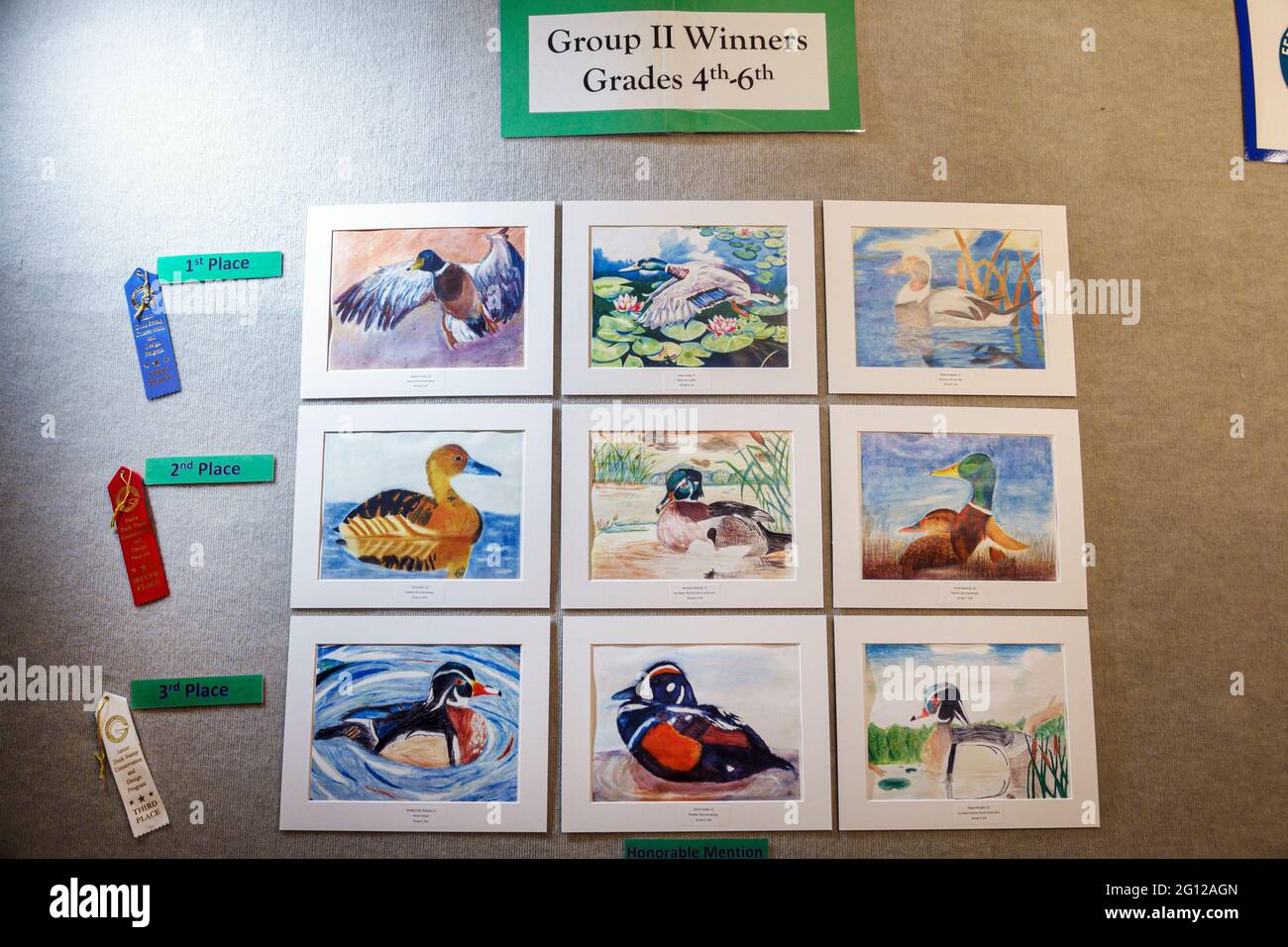 Florida Gulf Coast Sanibel Island Barrier Island J.N. Ding Darling National Wildlife Refuge Visitor Education Center Schüler Kunst exhibiti Stockfoto