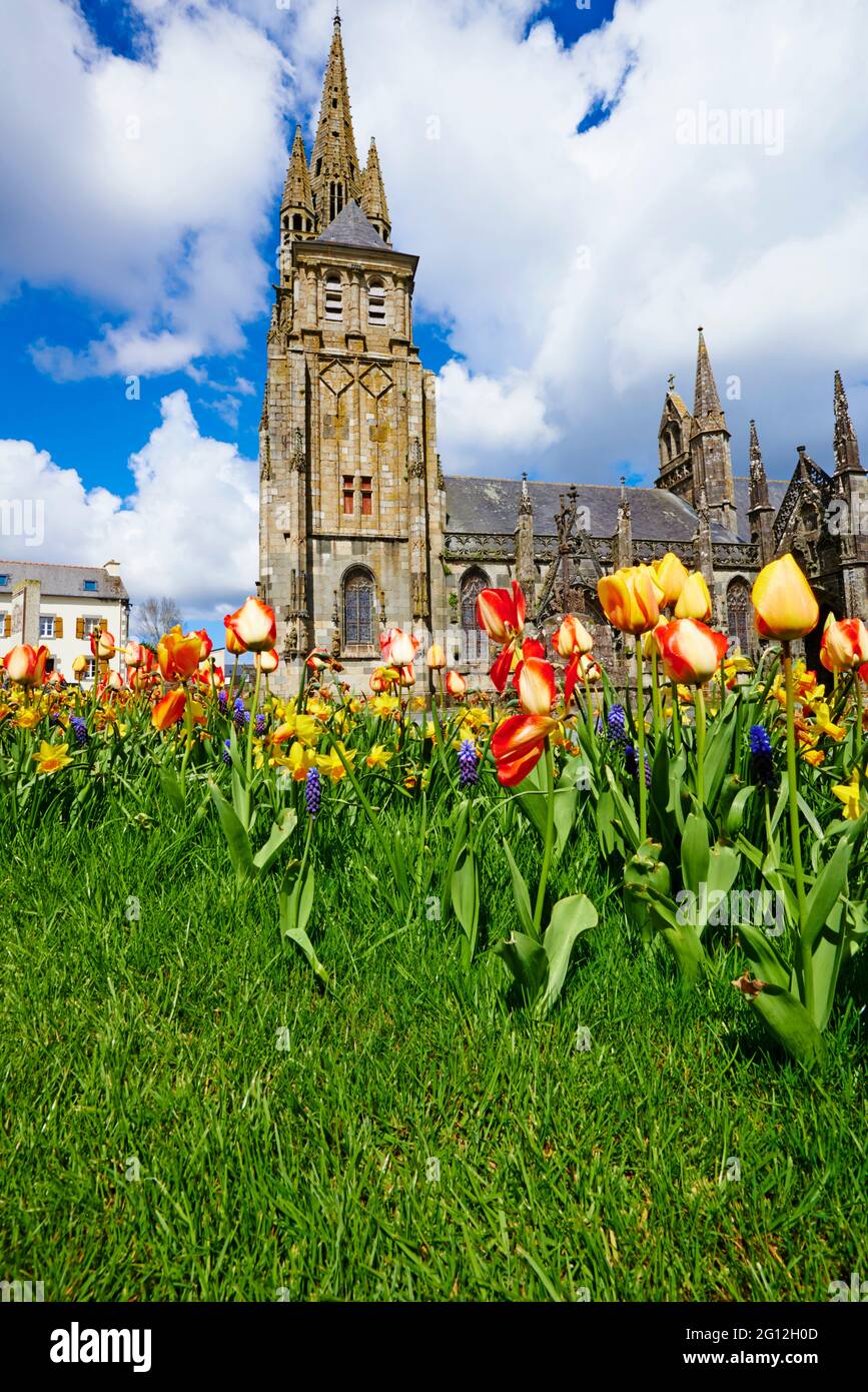 Frankreich, Bretagne, Finistere, Le Folgoet, Kathedrale Notre Dame Stockfoto