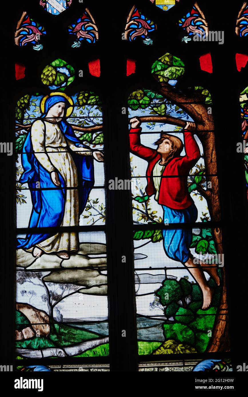 Frankreich, Bretagne, Finistere, Le Folgoet, Kathedrale Notre Dame, Kirchenfenster Stockfoto