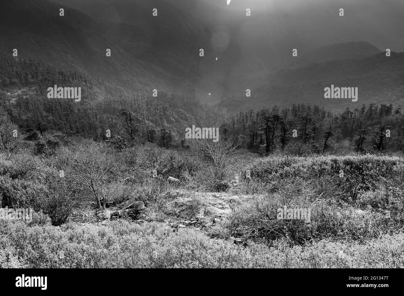 Wunderschöner, schwarz-weißer, kühler Wintersonnenaufgang in Lunhgthang, Sikkim, Westbengalen, Indien Stockfoto