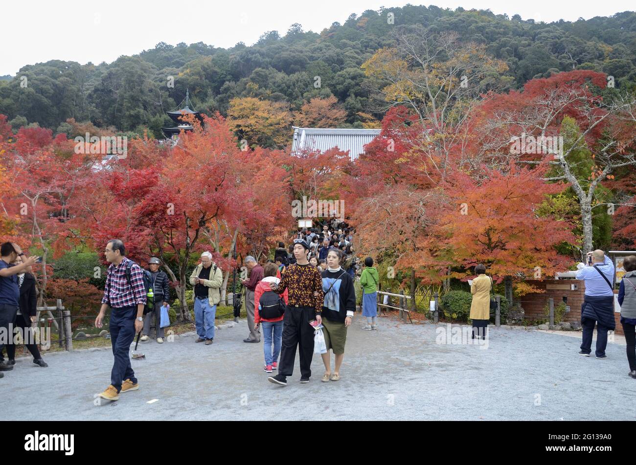 KYOTO, JAPAN - 10. Dez 2019: Kyoto, Japan - 24. Nov 2019: Menschen besuchen die Gärten von Eikando Zenrinji in Kyoto, Japan. Der Jodo-Buddhismus-Tempel geht zurück auf Stockfoto