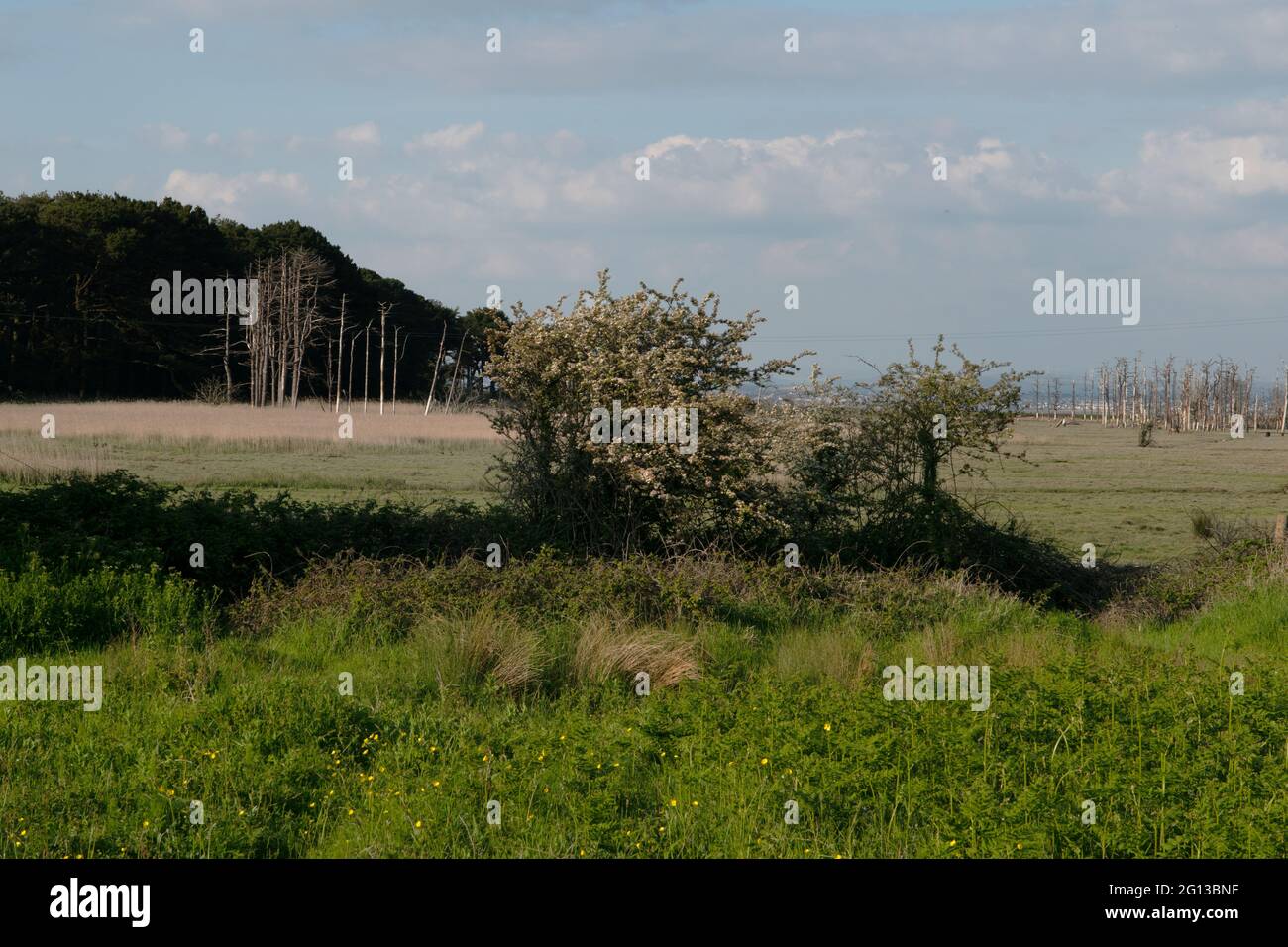 CWM Ivy, West Glamorgan, Wales, Großbritannien Stockfoto