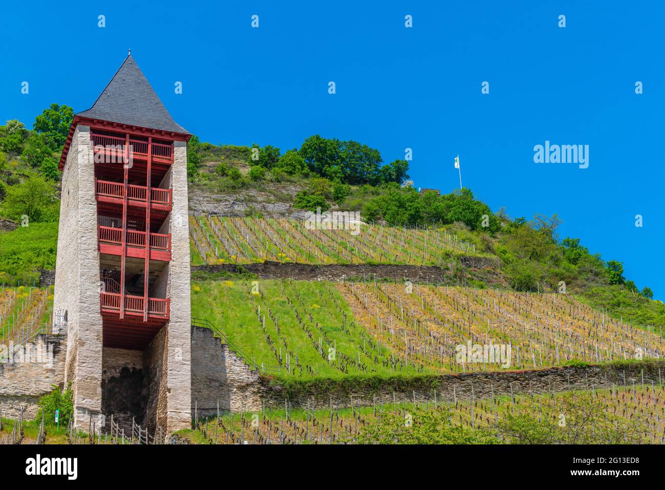 Kleiner Wein.Handelsstadt Bacharach, Oberes Mittelrheintal, UNESCO-Weltkulturerbe, Rheinland-Pfalz, Deutschland Stockfoto