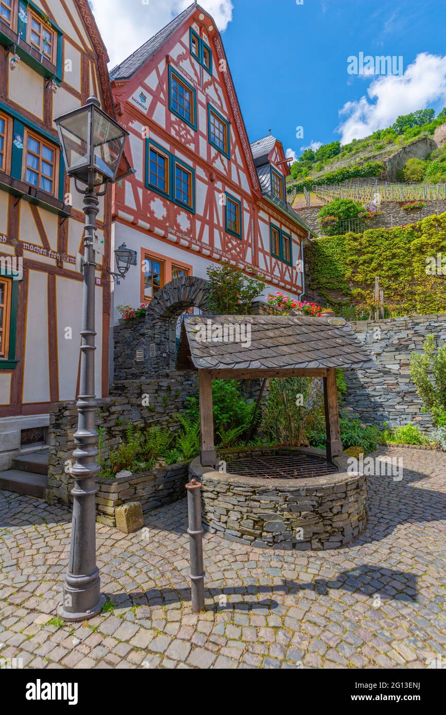Kleiner Wein.Handelsstadt Bacharach, Oberes Mittelrheintal, UNESCO-Weltkulturerbe, Rheinland-Pfalz, Deutschland Stockfoto