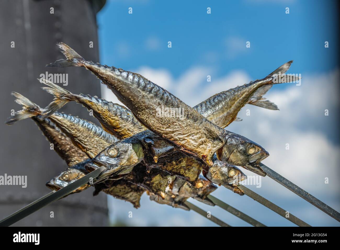 steckerlfisch ist eine bayerische Grillspezialität, ein frischer Vollfisch wird auf einem Stock über einem offenen Lagerfeuer geröstet. steckerlfisch ist Fisch, der auf einem Stock gegrillt wird Stockfoto