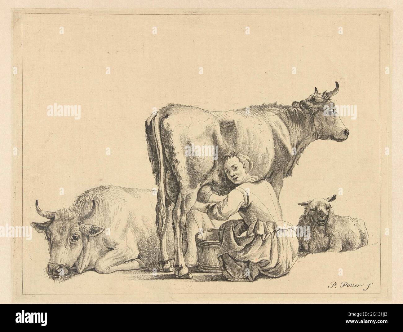 Milkmaid; der junge Dieb. Eine von einer Frau geschmolzene Kuh, eine liegende Kuh und ein Schaf. Stockfoto