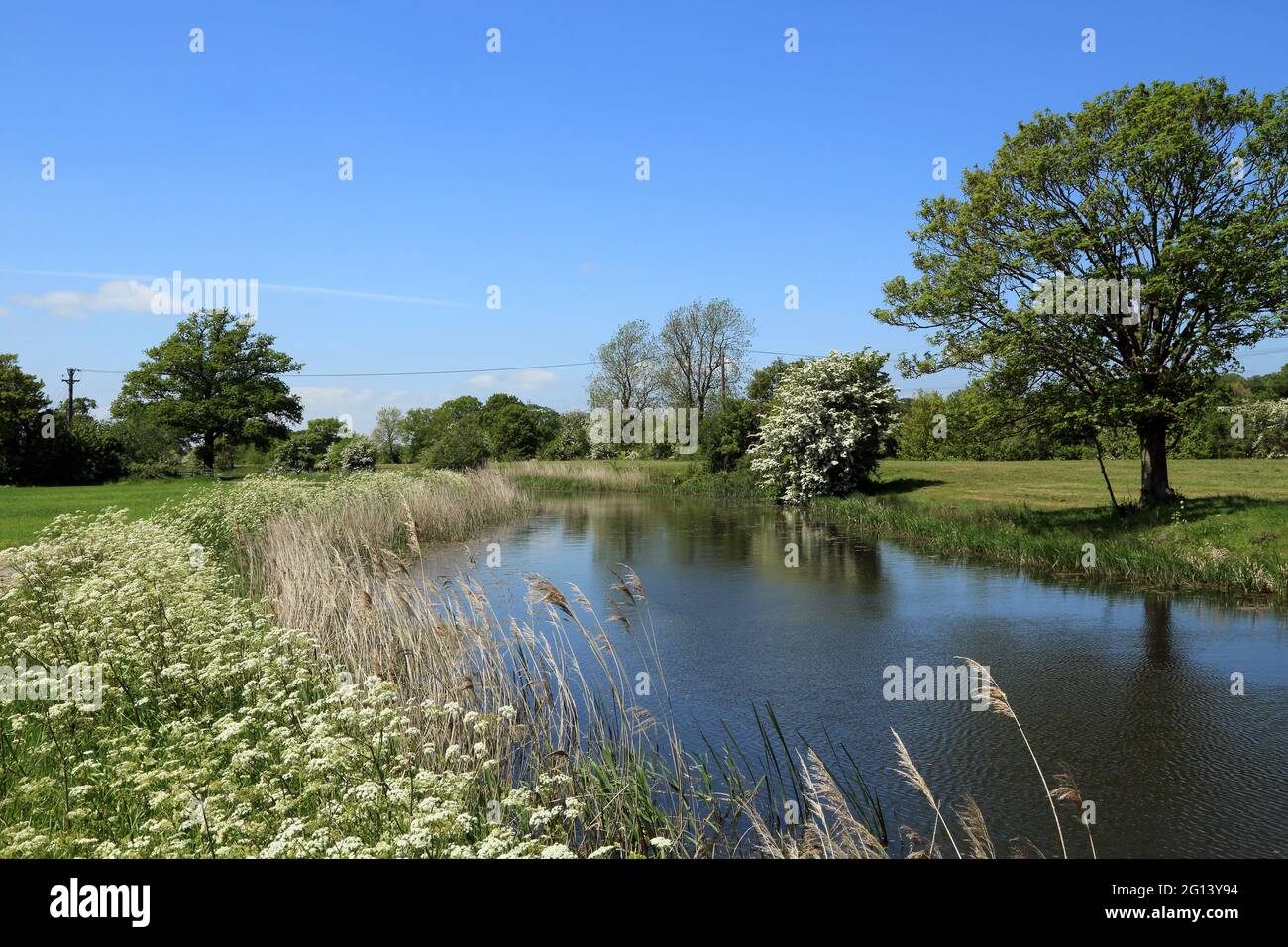 Royal Military Canal am Romney Marsh unterhalb von Hamstreet, Ashford, Kent, England, Vereinigtes Königreich Stockfoto