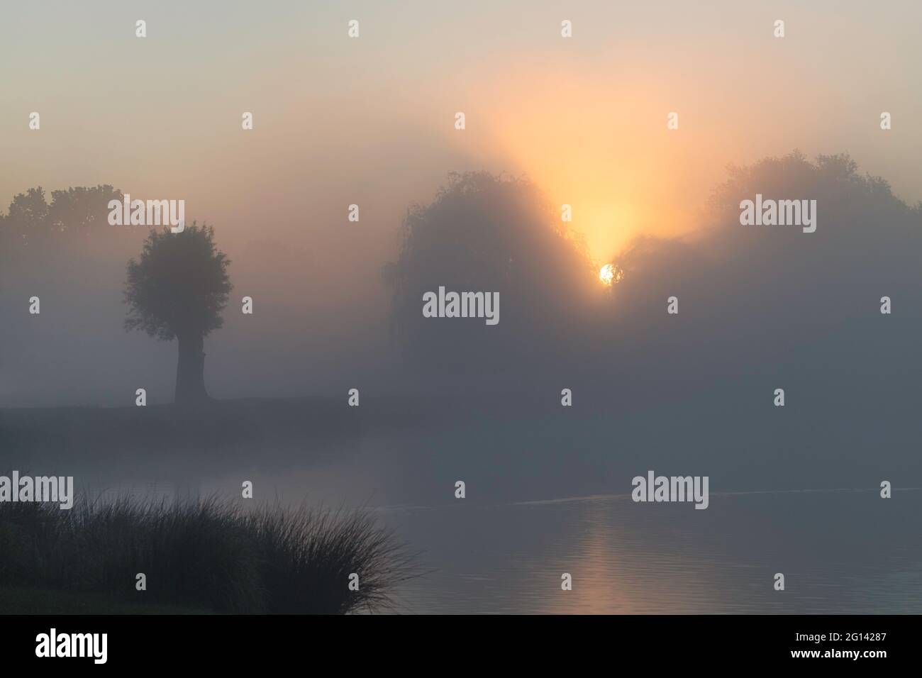 Die Sonne geht an einem sehr nebligen Morgen an einem ruhigen Teich über den Bäumen auf Stockfoto