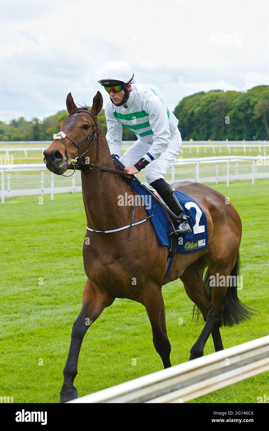 Jockey Tom Madden auf Flor de La Luna vor dem Start eines Rennens auf der Rennbahn York Racecourse. Stockfoto
