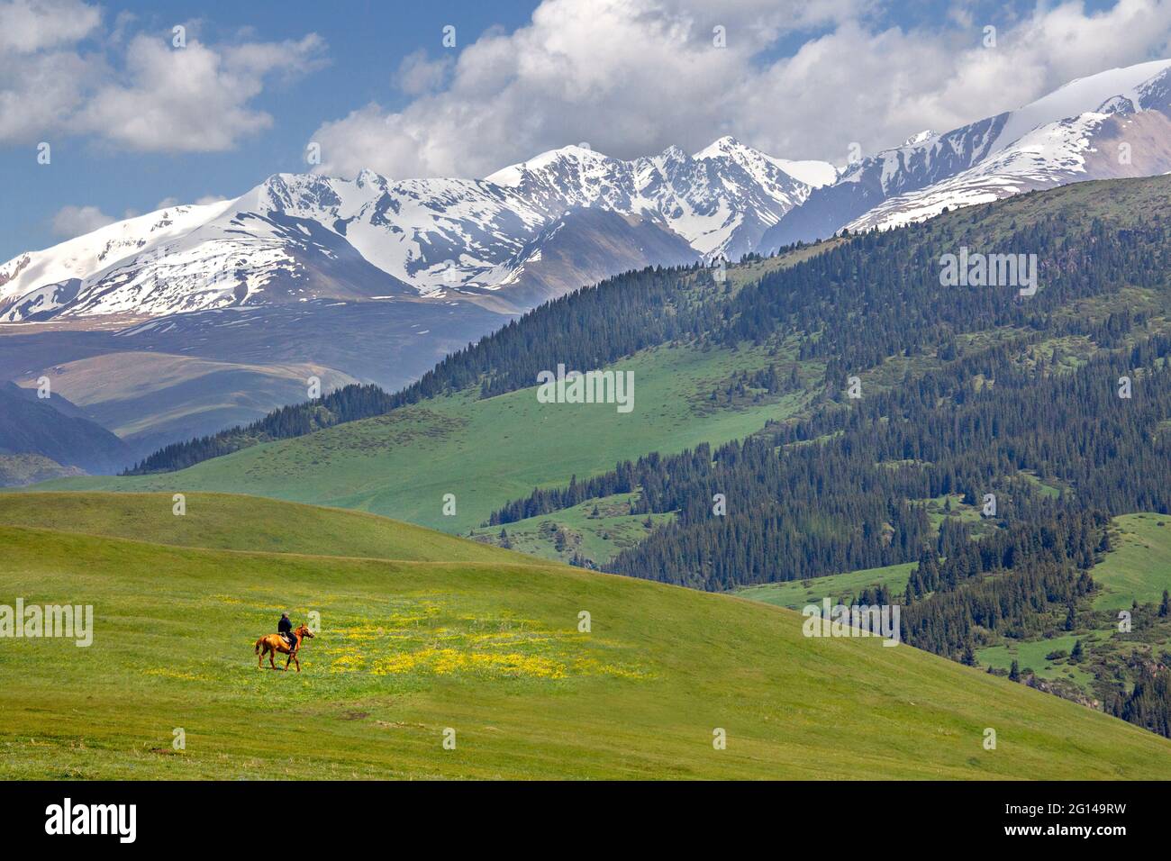 Blick über das Assy Plateau, wo die Nomaden den Sommer verbringen, in der Nähe von Almaty, Kasachstan Stockfoto