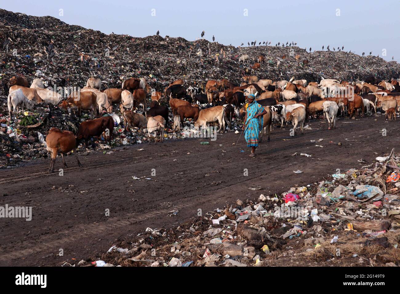 Guwahati, Assam, Indien. Juni 2021. Eine Frau, die am Vorabend des Weltumwelttages am 04. Juni 2021 in Guwahati nach recycelbaren Materialien auf der Deponie Boragaon sucht. Der Weltumwelttag wird jedes Jahr am 5. Juni begangen, und das Thema dieses Jahres ist die Luftverschmutzung. Quelle: David Talukdar/ZUMA Wire/Alamy Live News Stockfoto