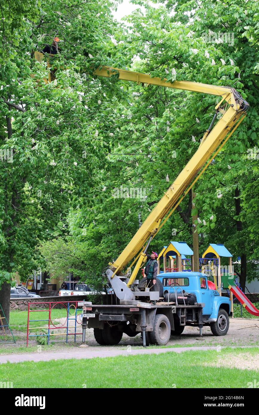 Baumschnitt in großer Höhe von einer Luftplattform auf dem Spielplatz aus Stockfoto