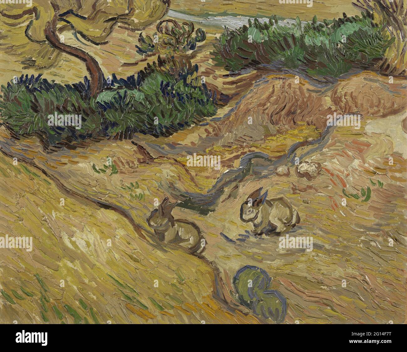 Vincent Van Gogh - Landschaft mit Kaninchen Stockfoto