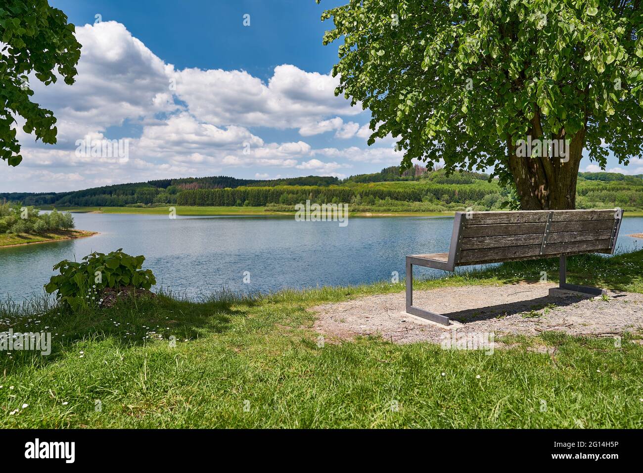 Beeindruckende Landschaft, Dhuenntalsperre, Wermelskirchen Nationalpark Stockfoto