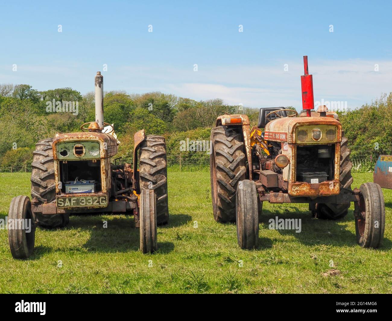 HOLSWORTHY, DEVON, ENGLAND - MAI 30 2021: Zwei verschiedene Oldtimer- Traktoren, landwirtschaftliche Fahrzeuge bei der Rallye. Scheinen Gesichter  zu haben! Stockfotografie - Alamy