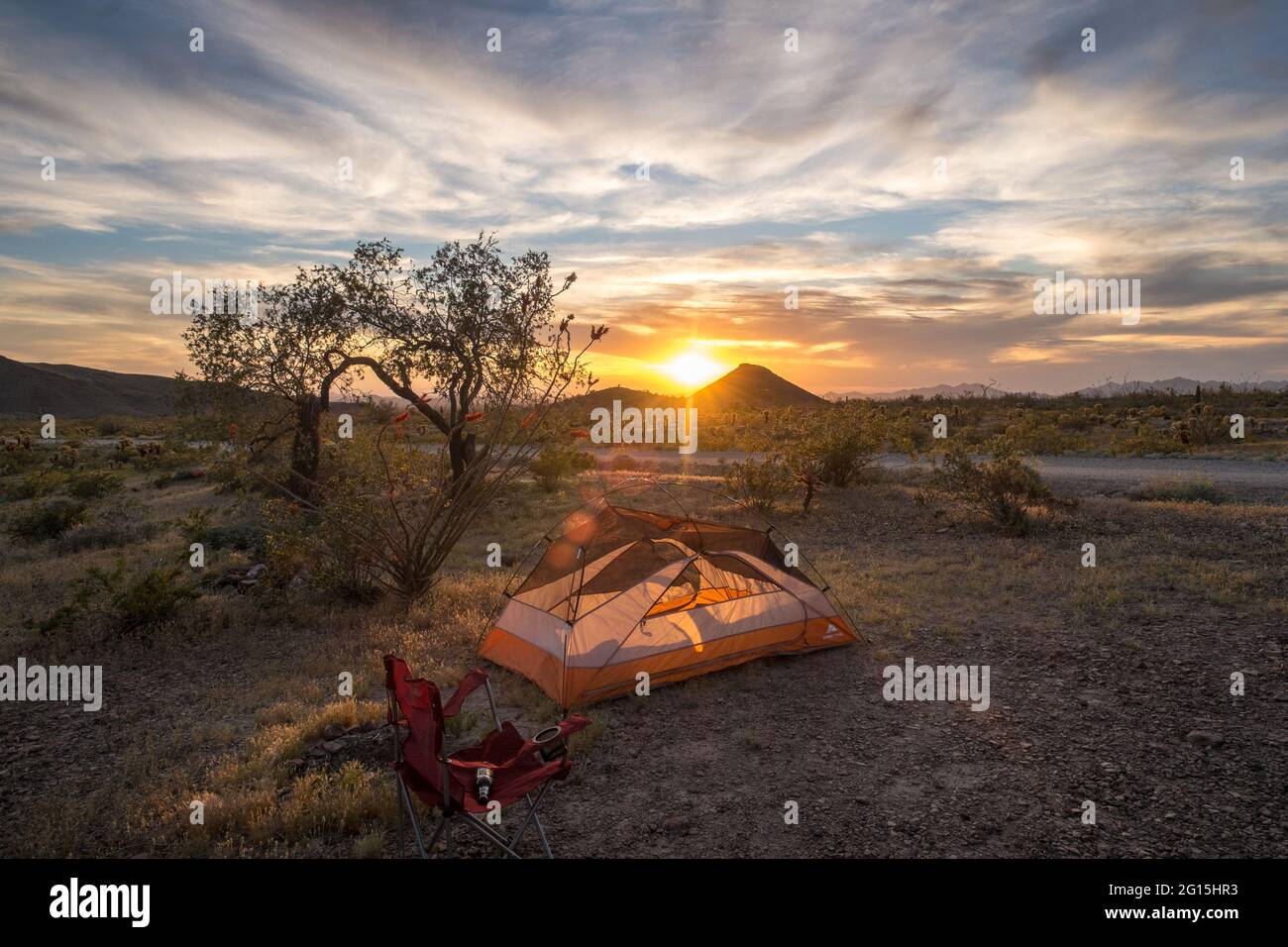 Orangefarbenes Zelt am Palm Canyon im Kofa National Wildlife Refuge, Arizona, USA Stockfoto