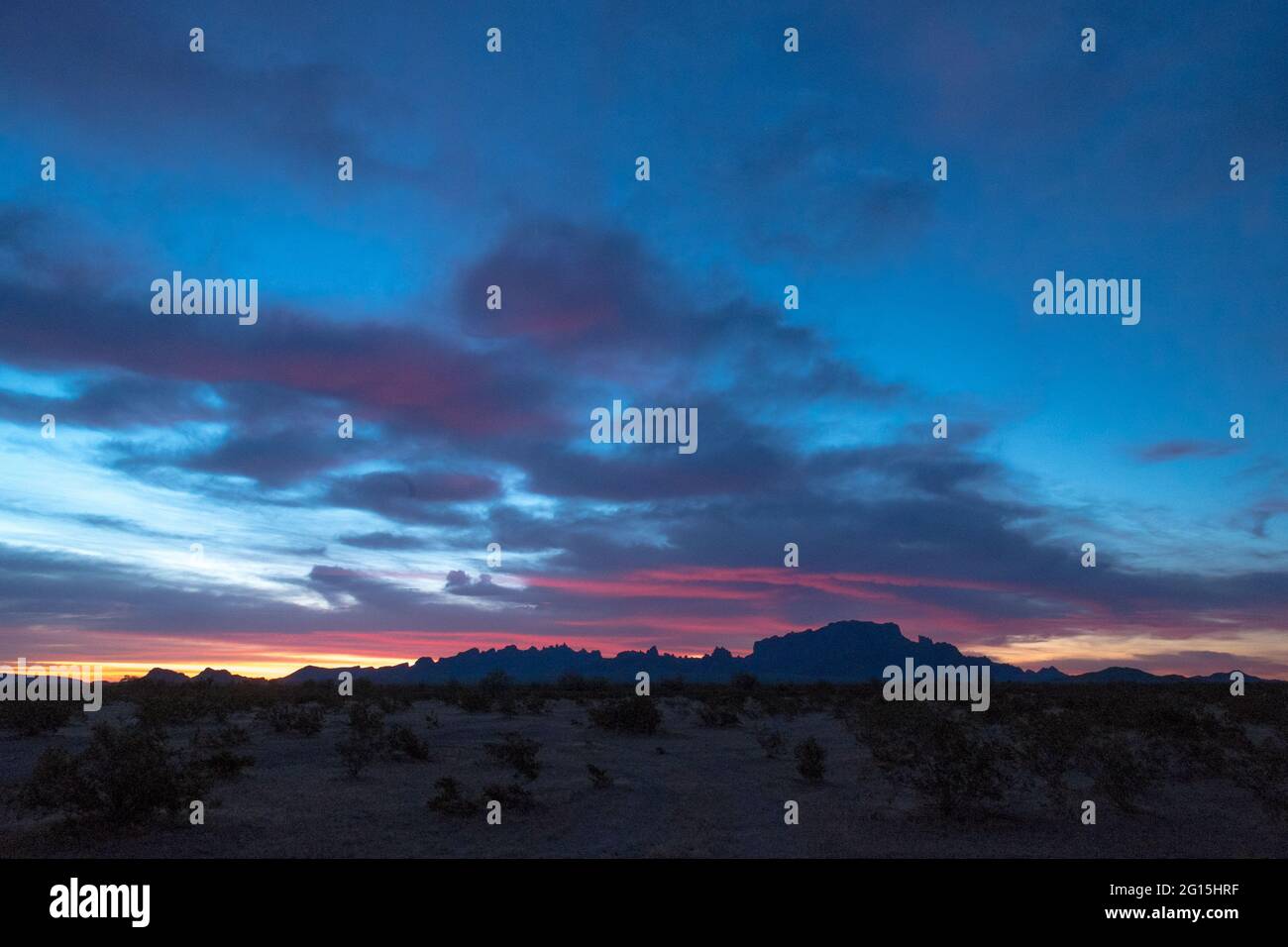 Blauer Himmel und rosa Wolken bei Sonnenaufgang in den Kofa Mountains, Arizona, USA Stockfoto