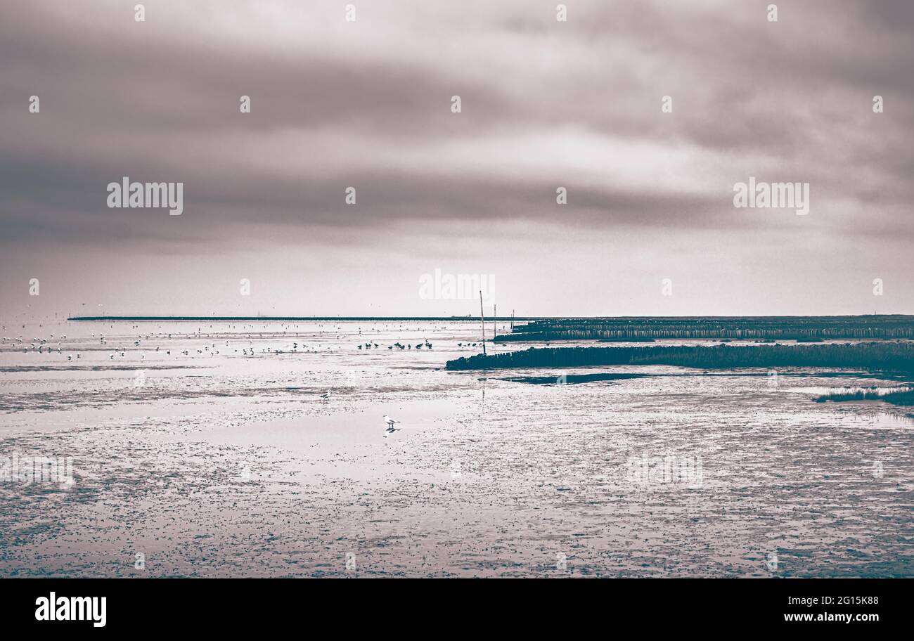 Strand von Cuxhaven an der deutschen Nordseeküste. Sandstrand mit Kugelbake, ein Seezeichen aus Holz, steht an der Mündung der Elbe im matschigen Watt Stockfoto