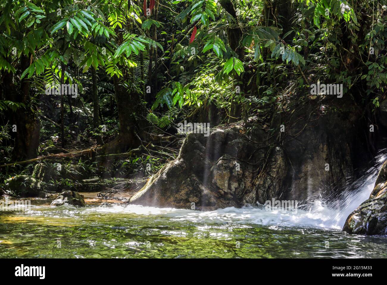 Wunderschöne Sonnenstrahlen, die von einem Wasserfall durch das Dschungeldach in den fließenden Fluss scheinen Stockfoto