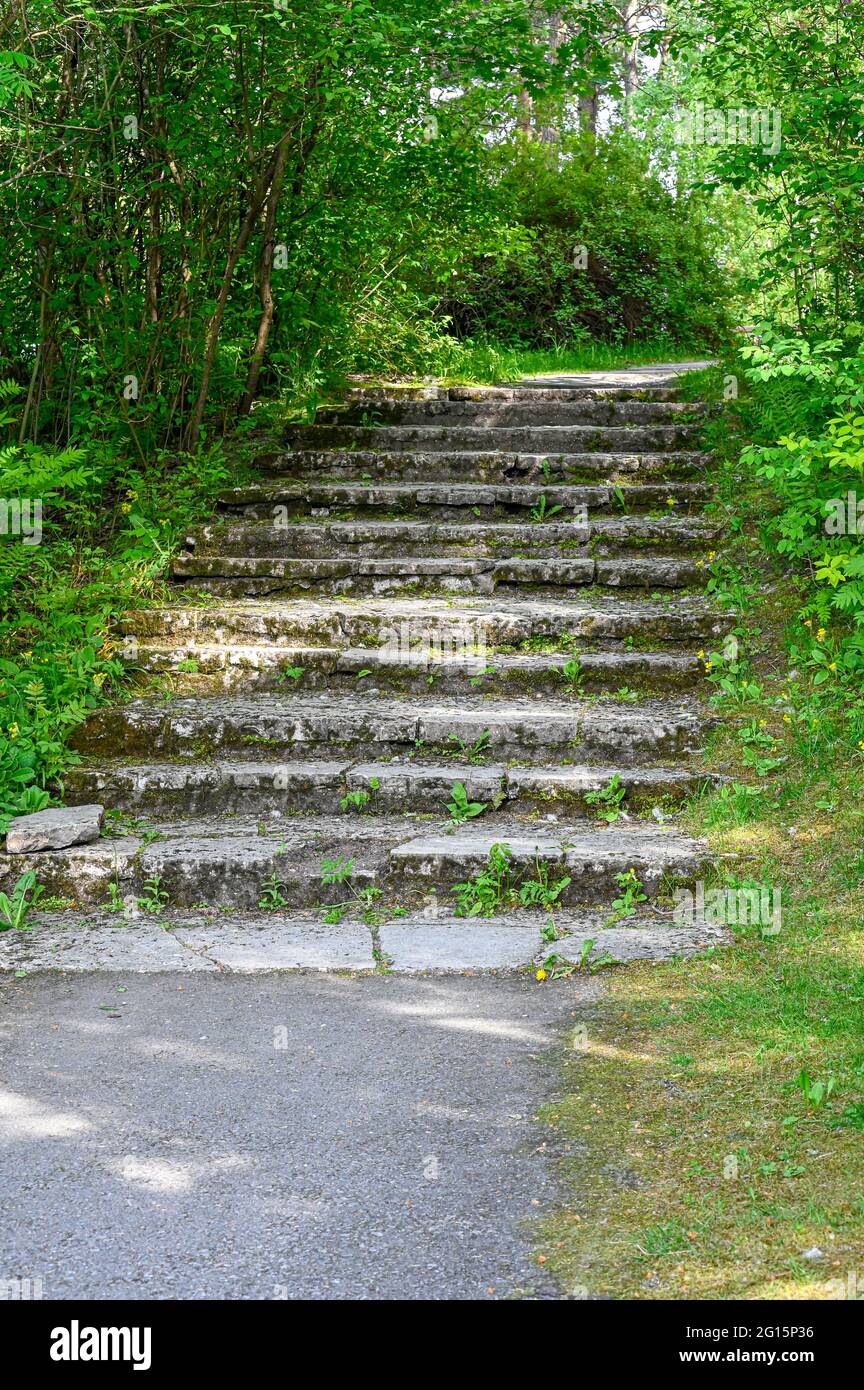 Alte Treppen aus Stein im Park Stockfoto