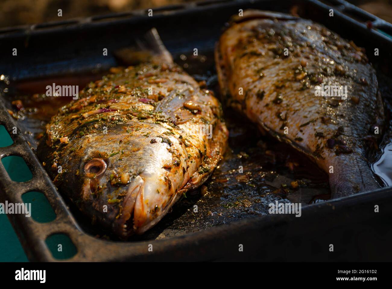 Fisch, der im Ofen auf einem Backblech gekocht wird, ist unglaublich lecker. Vor allem, wenn dieser dorado Fisch. Seitenansicht Stockfoto