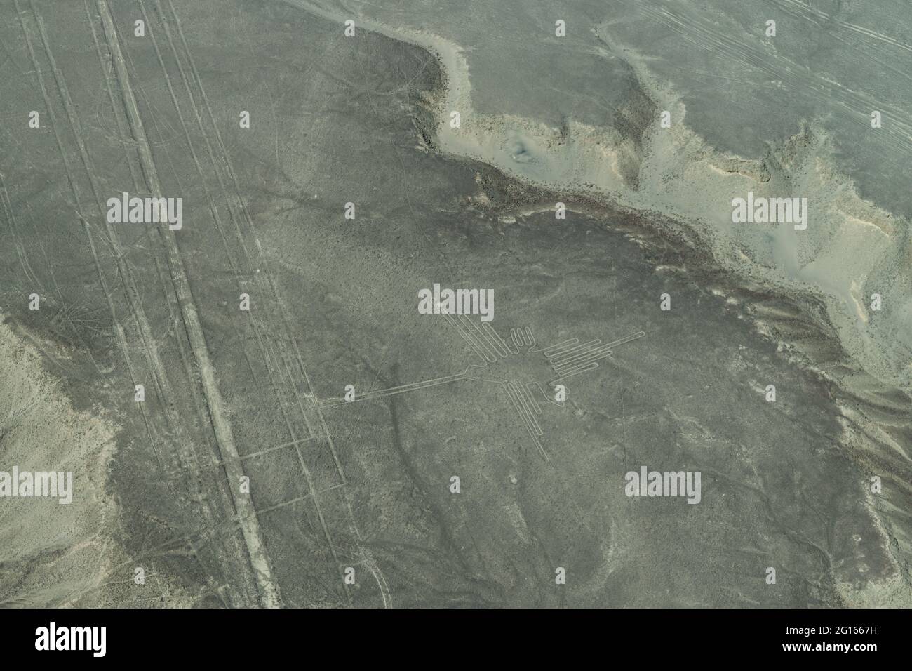 Luftaufnahme der Kolibris-Geoglyphe an den Nazca-Linien in Peru Stockfoto