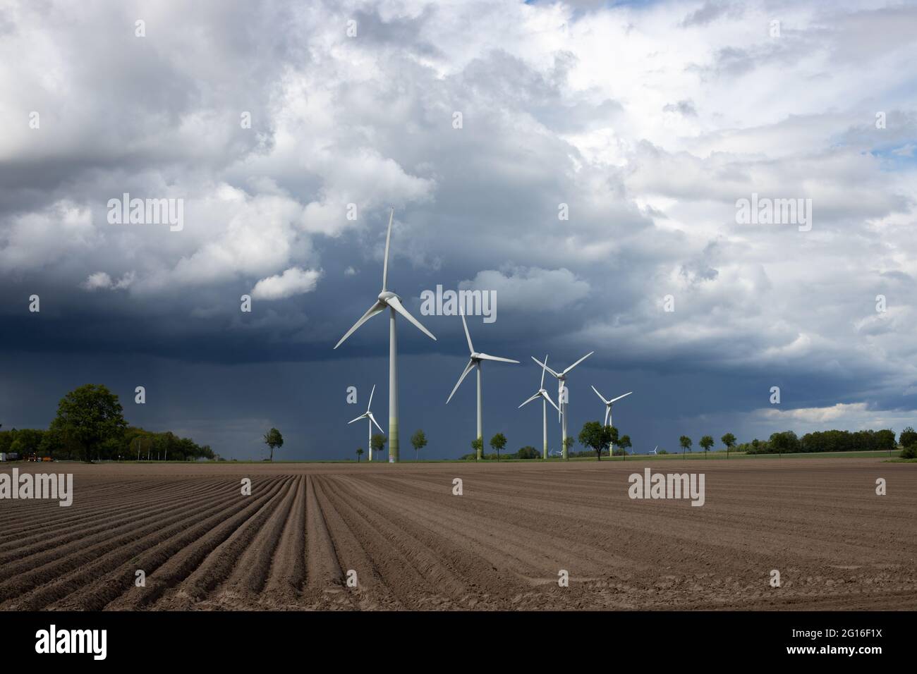 Feld ohne Feldfrüchte vor einem Windpark, das saubere Energie und dramatische Wolken am Horizont erzeugt Stockfoto