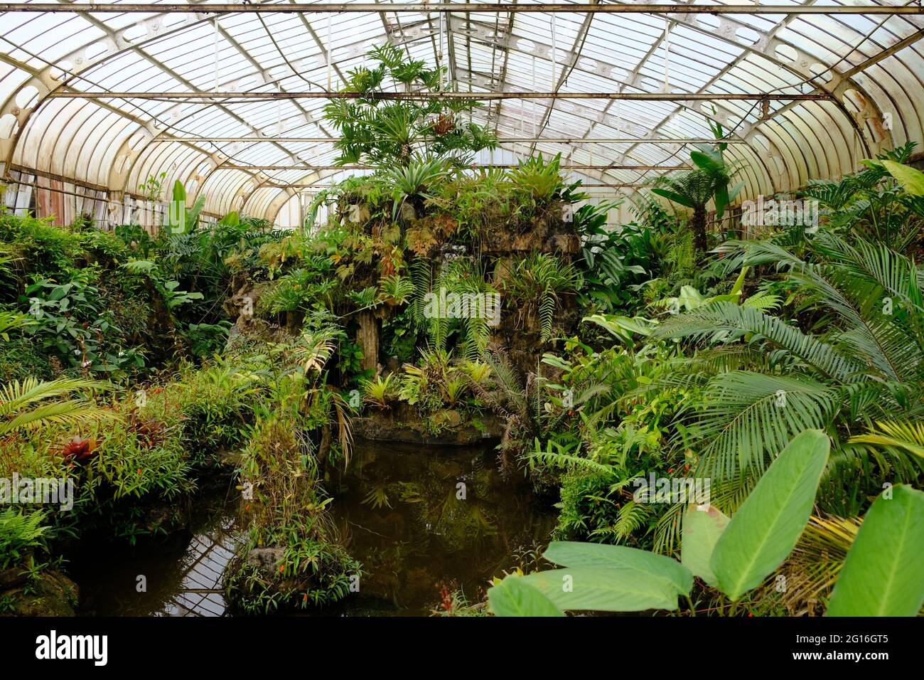 Brasilien Sao Paulo - Gewächshaus im Botanischen Garten Stockfoto