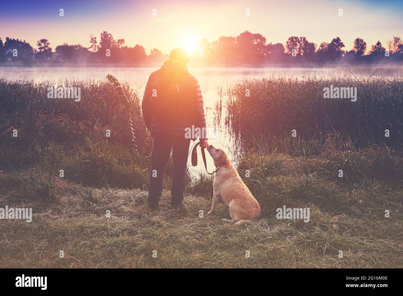Ein Mann mit einem labrador Retriever Hund spaziert am frühen Herbstmorgen auf dem Land am See Stockfoto