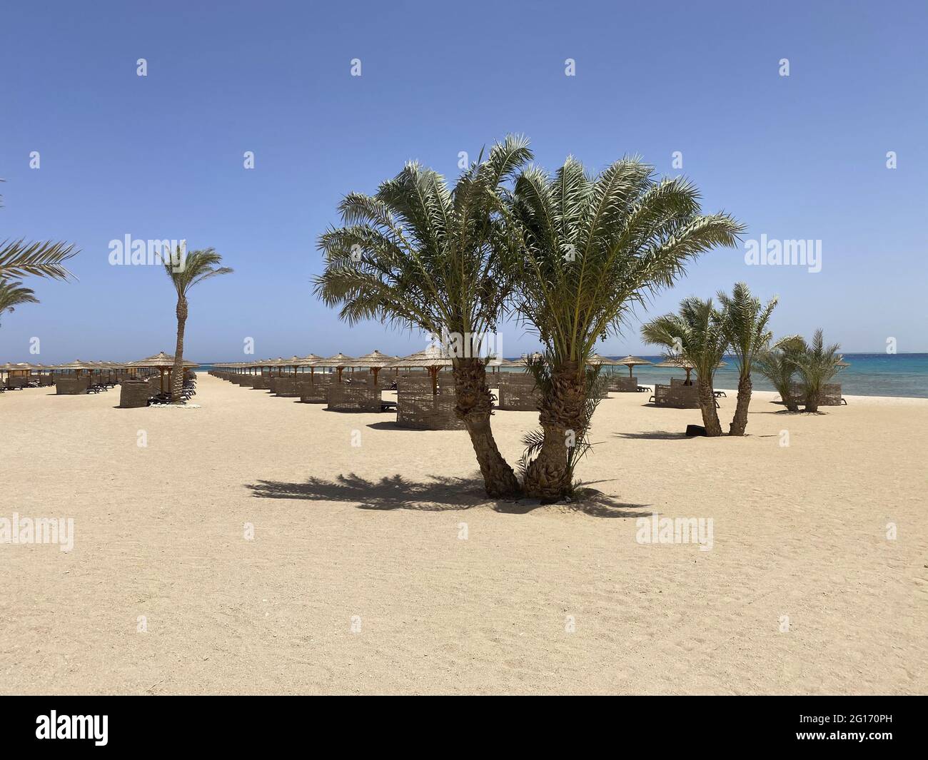 Keine Touristen, Leere Schirme, Soma Bay, Ägypten, Afrika Stockfoto