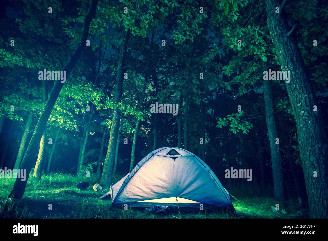 Nachtcamping im Blattwald Stockfoto
