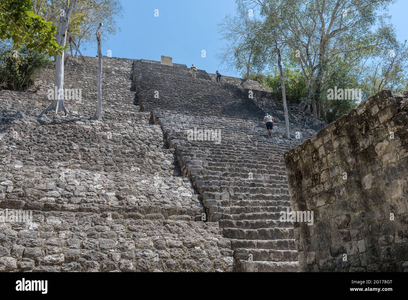 Besucher der Maya-Ruinen von Calakmul, Campeche, Mexiko Stockfoto