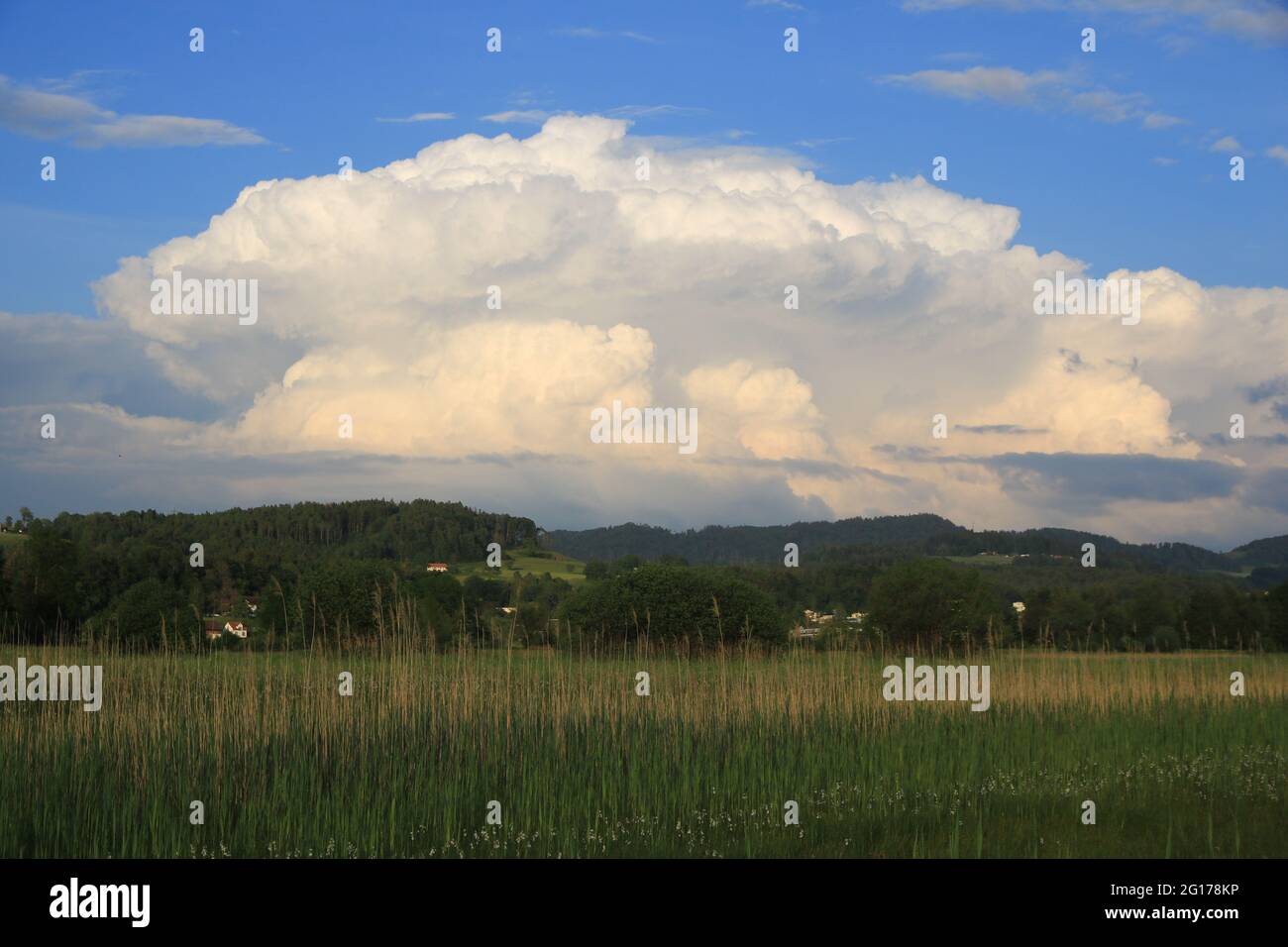 Beeindruckende Szene im Frühsommer. Große weiße Kumuluswolke baut sich auf. Szene bei Wetzikon, Zürich. Stockfoto