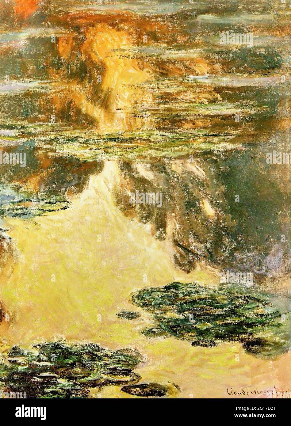 water lilies Fotos und Bildmaterial in hoher Auflösung Alamy