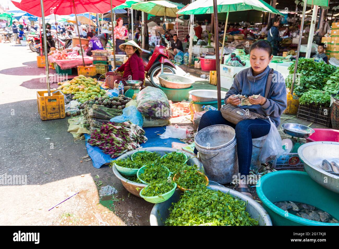 Frau am Marktstand, die Geld von den Tagesverkäufen zählt, Pakse, Laos Stockfoto