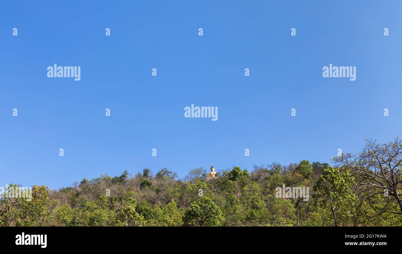 Goldener Buddha am Hang über Bäumen, Pakse; Laos Stockfoto