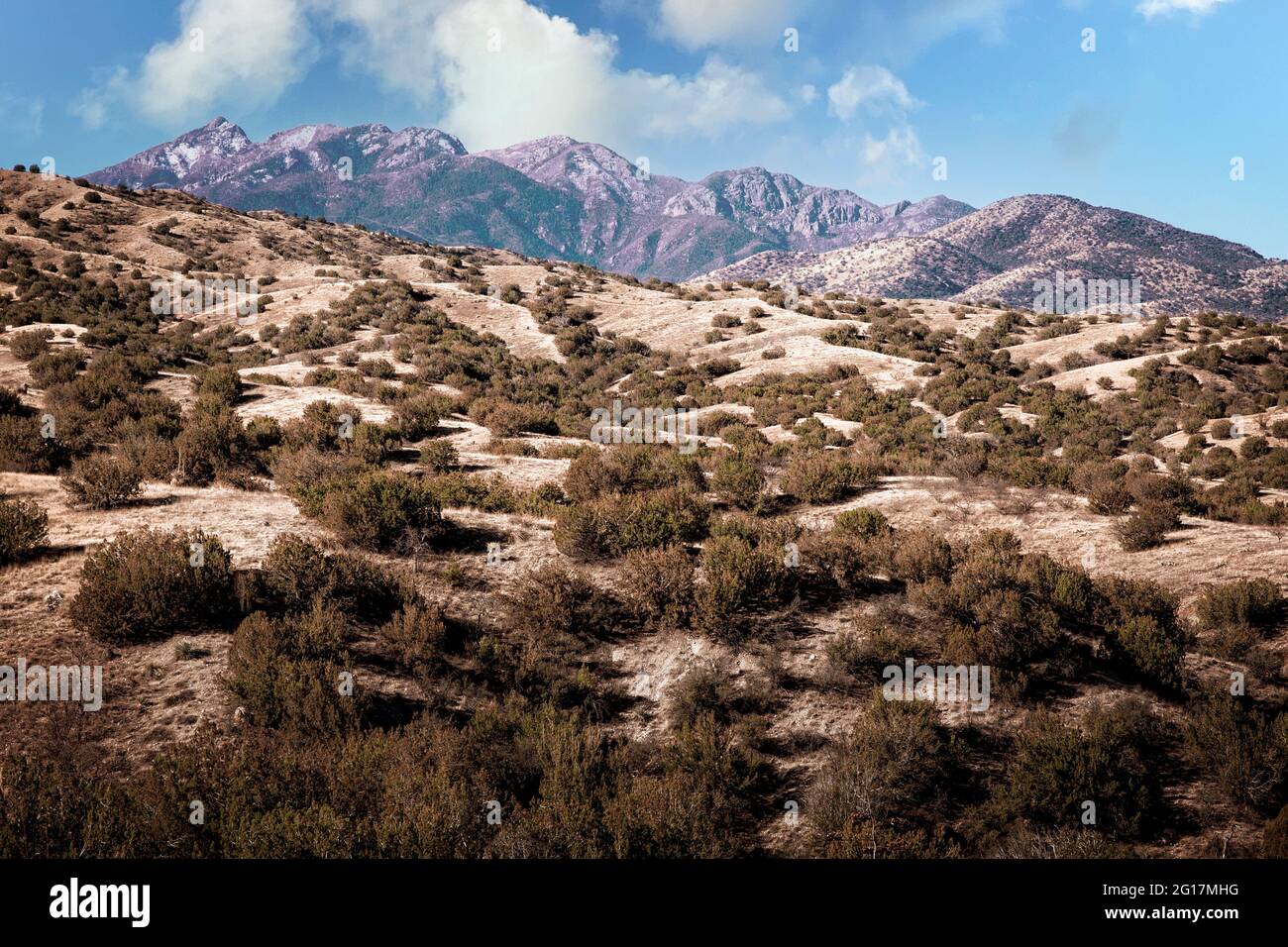 Die hohe Wüste und die Berge des südlichen Arizona außerhalb von Tucson. Stockfoto