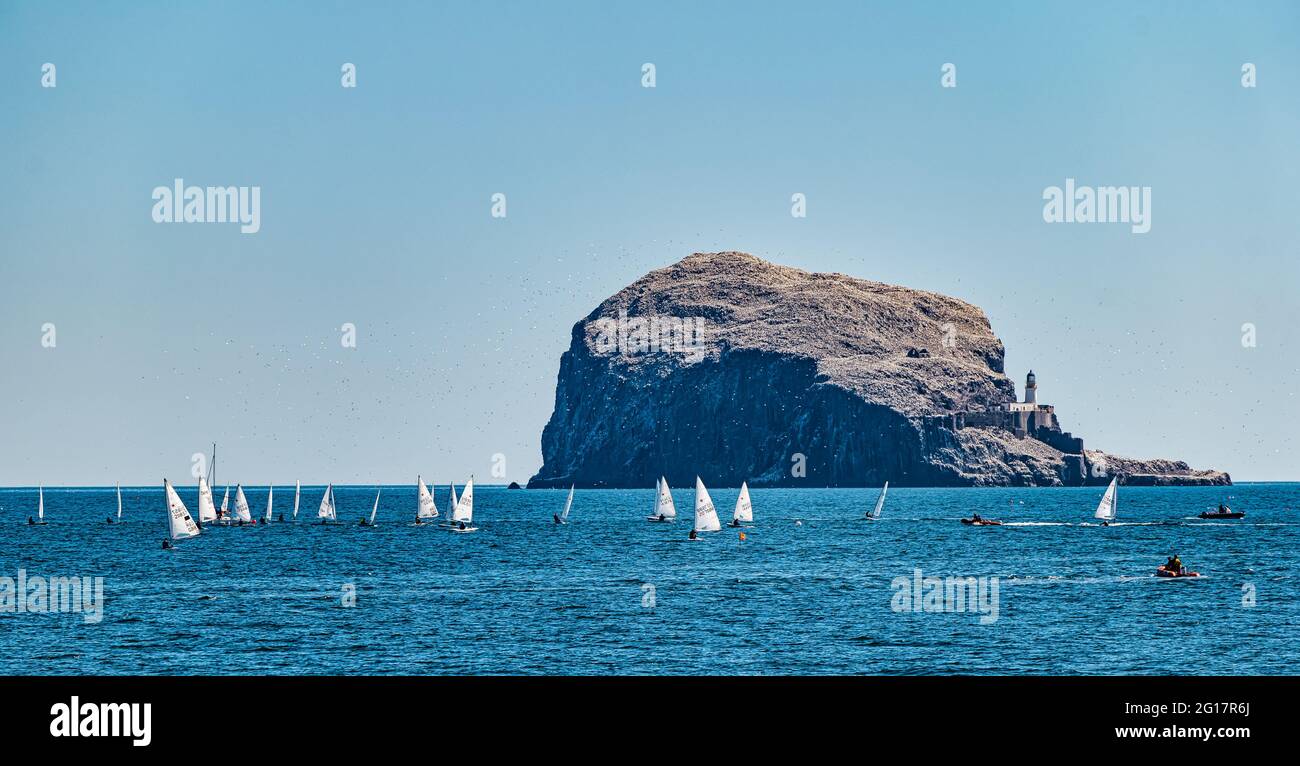 Segelregatta mit Segeljollen der Bass Rock-Gannet-Kolonie in Firth of Forth, Schottland, Großbritannien Stockfoto