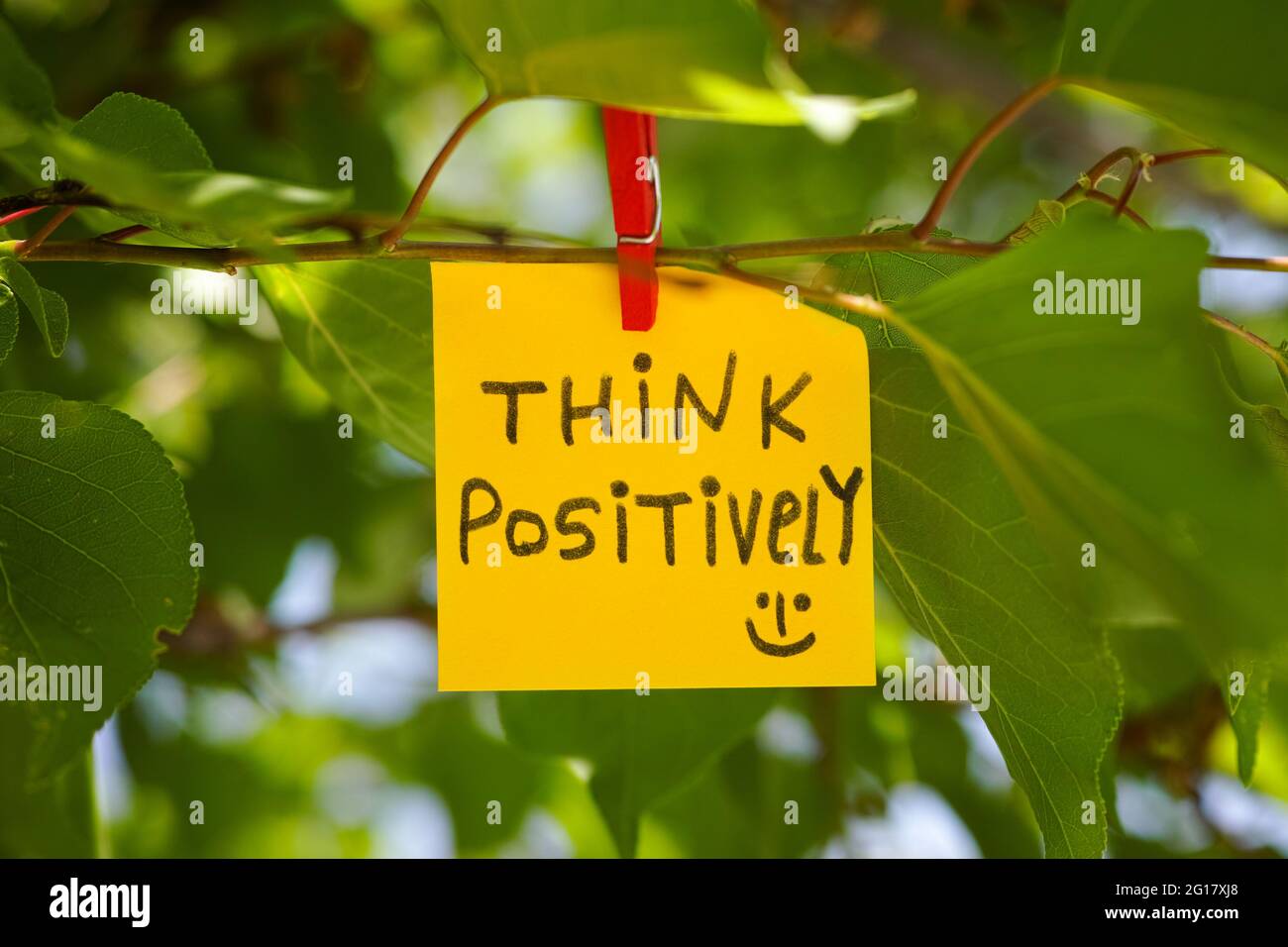 Eine Papiernotiz, auf der „positiv denken“ geschrieben ist und die an einem Baum mit einer Kleidernadel befestigt ist. Nahaufnahme. Stockfoto