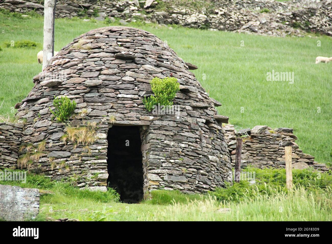 Frühmittelalterliche Steinhütte (Bienenhaus) auf der Halbinsel Dingle, Kerry, Irland. Eine Clochain ist eine Trockensteinhütte mit einem Korbdach Stockfoto