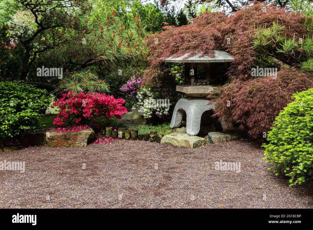 Japanischer botanischer Garten, in Missouri Botanical Gardens, St. Louis. Steinlaterne; Pinien, Sträucher und Blumen. Kies im Vordergrund. Stockfoto