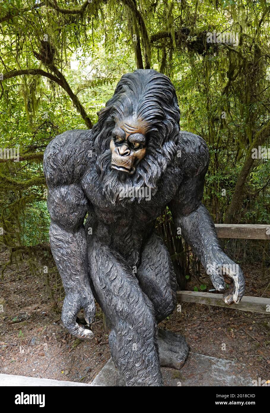 Eine bigfoot- oder Sasquatch-Statue in den Bäumen des Mystery Roadside Attraction in Klamath, Kalifornien Stockfoto