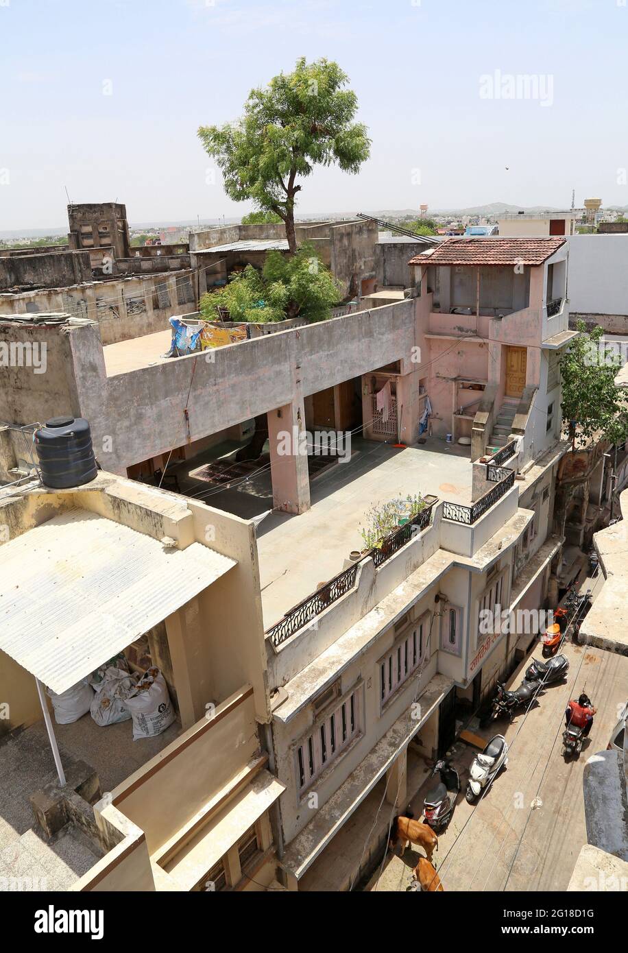 Der 130-jährige Neem-Baum kam aus der Terrasse, geht mitten durch ein dreistöckiges Haus in Beawar. Eine indische Familie kompromittierte mit dem Entwurf des Hauses, hielt es aber nicht für angemessen, einen Baum zu schneiden, der den Bau des Hauses blockierte. Diese Familie ist ein einzigartiges Beispiel für Umweltschutz für diejenigen, die Bäume für die Stadtentwicklung und Straßenerweiterung schneiden. Familie glaubt, dass ein Baum die Gesundheit besser hält. Nicht einmal ein einziges Mitglied dieser 35-köpfigen Familie wurde in den letzten zwei Jahren der Corona-Pandemie krank. (Foto von Sumit Saleswat/Pacific Press) Stockfoto