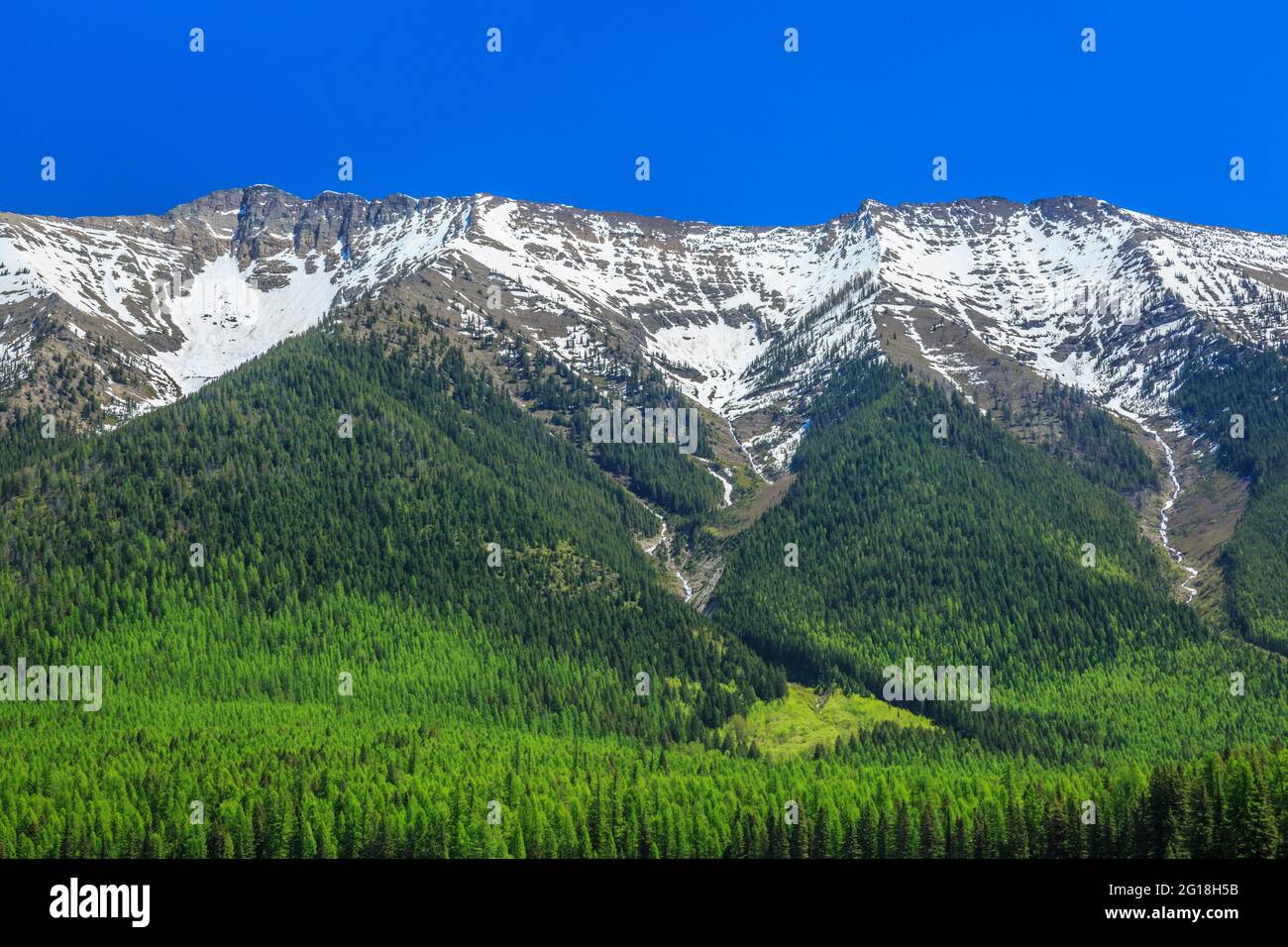 swan Range Kamm im Lolo National Forest in der Nähe von condon, montana Stockfoto