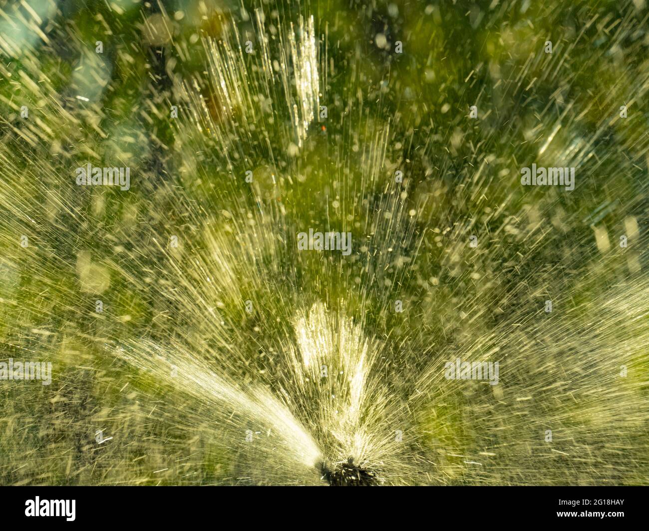 Sprinkler sprühen Wasser auf grünen Gartenhintergrund mit Kopierfläche. Stockfoto